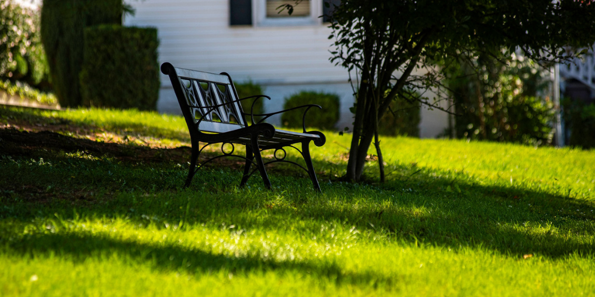 bench on library grounds