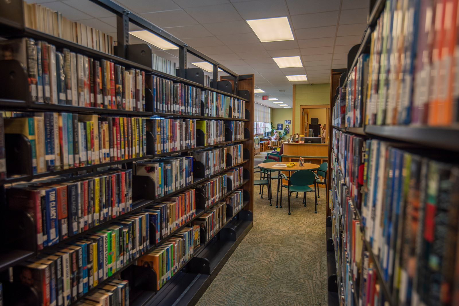 hayters gap library bookshelves