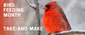 Bird Feeding Month Take-and-Make