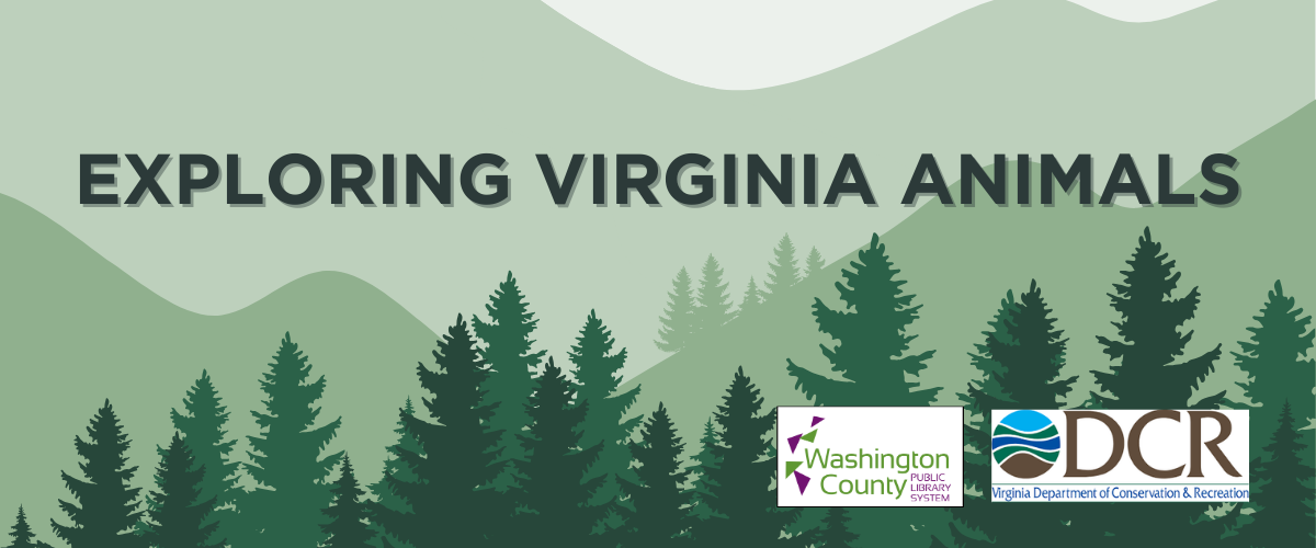 Exploring Virginia Animals WCPL Virginia Department of Conservation and Recreation