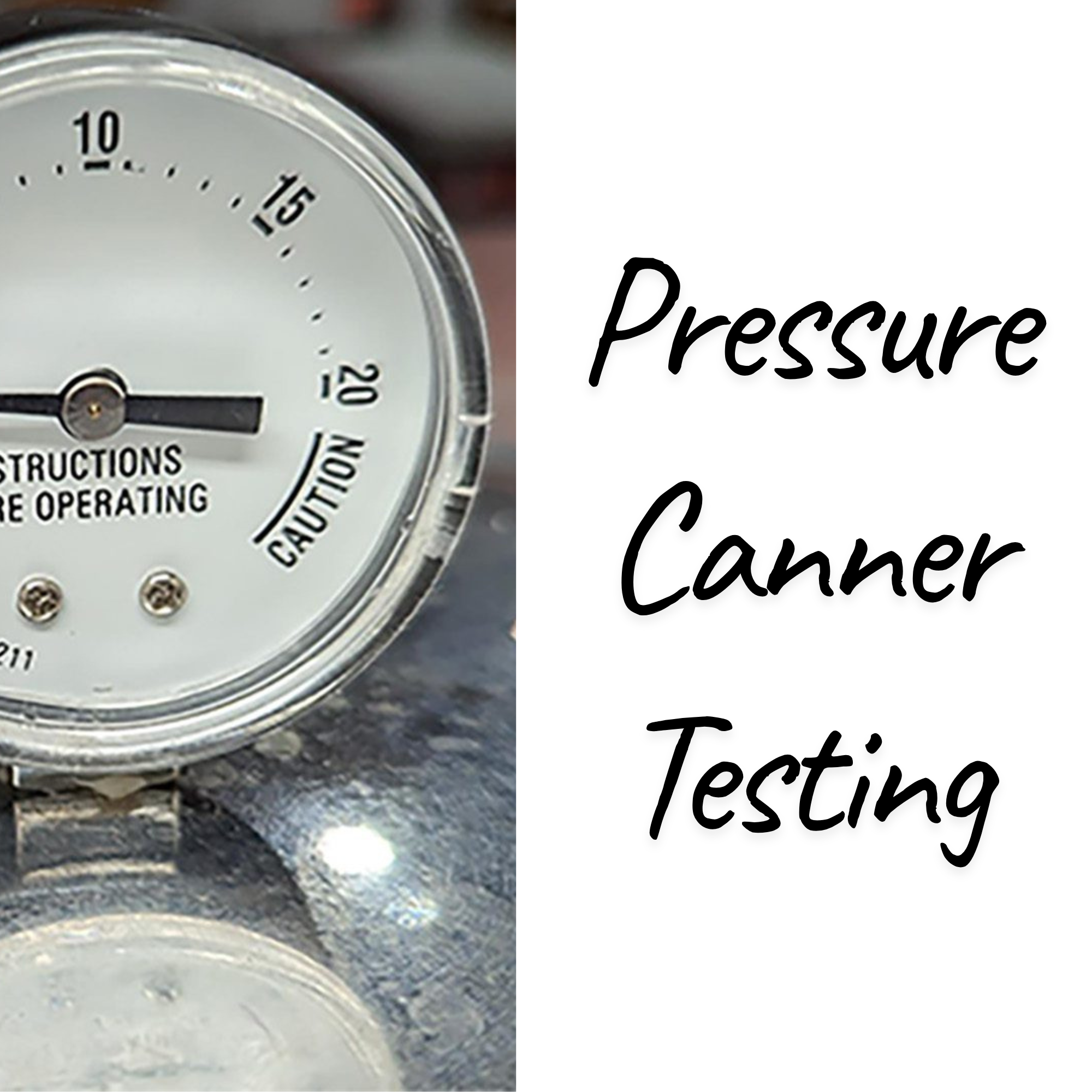 Pressure Canner Testing
